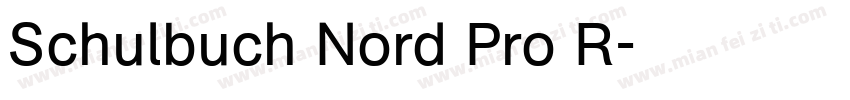 Schulbuch Nord Pro R字体转换